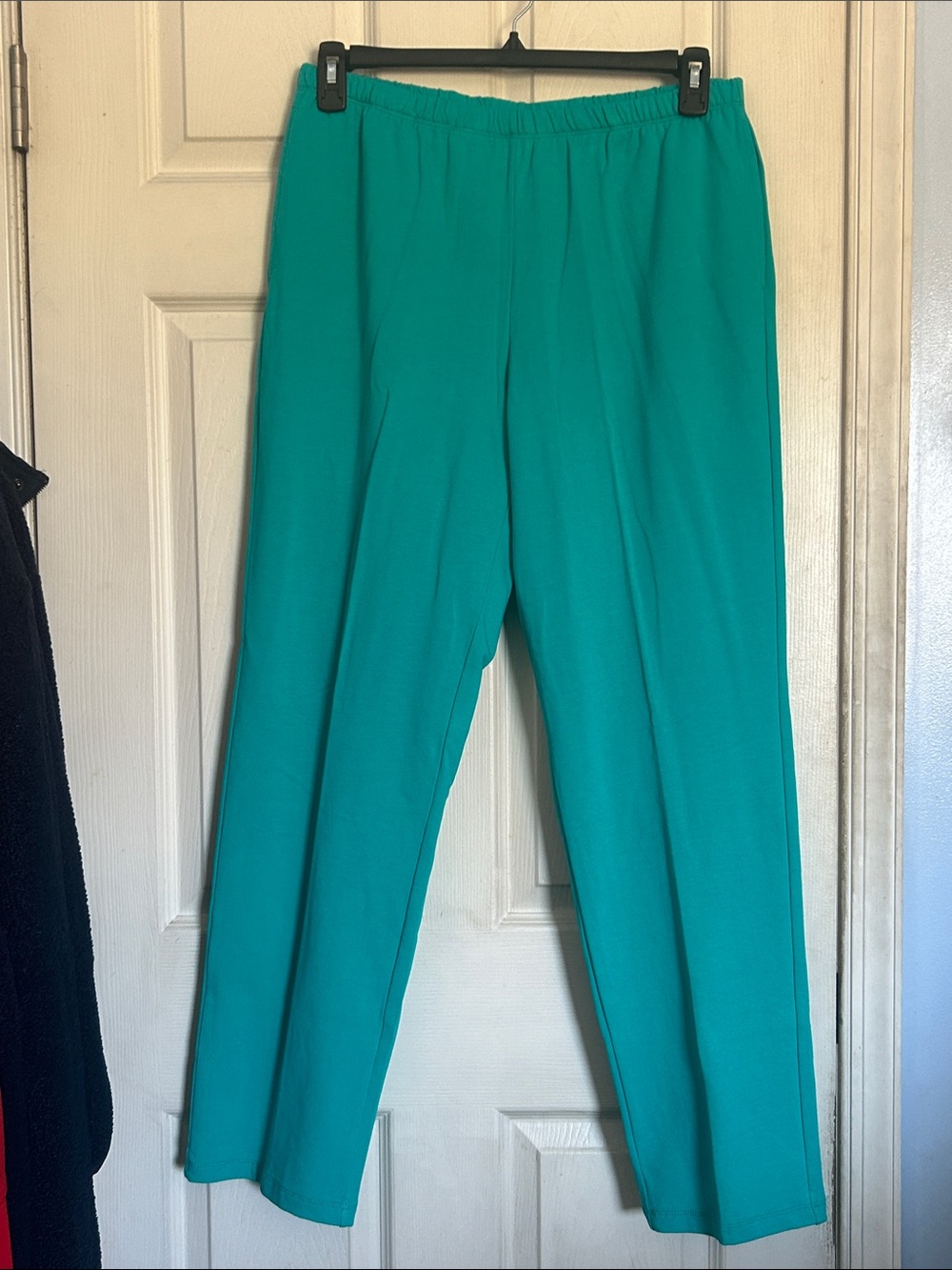 NWT Ruby Rd. French terry pull on jade pants size medium